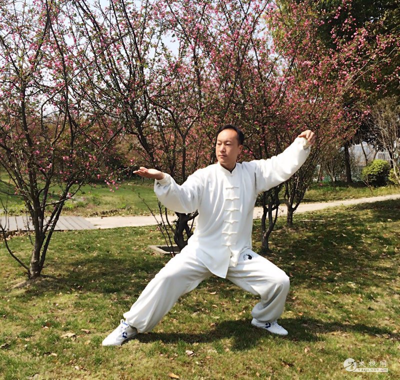 从武术精髓到生活哲学 —— 搜索太极的变化与趋势