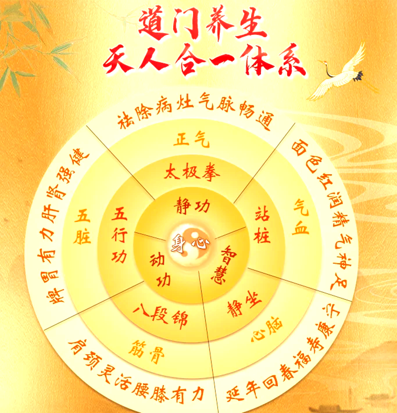 太极养生课:从肩伤到能量积蓄的转变
