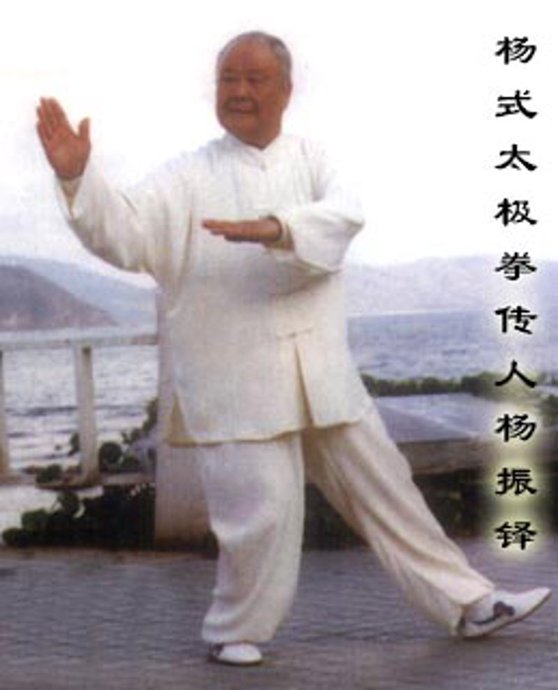 太极拳教程：古法与现代结合的艺术之旅
