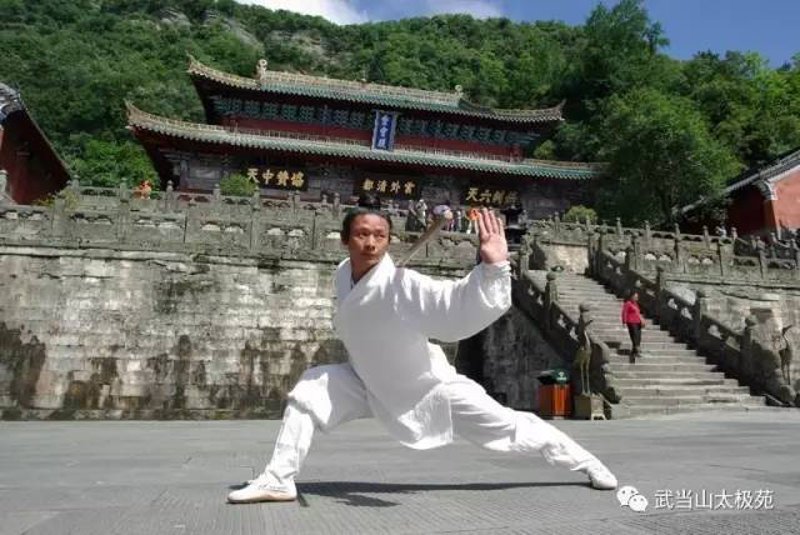 太极养生：引领健康生活的潮流风向